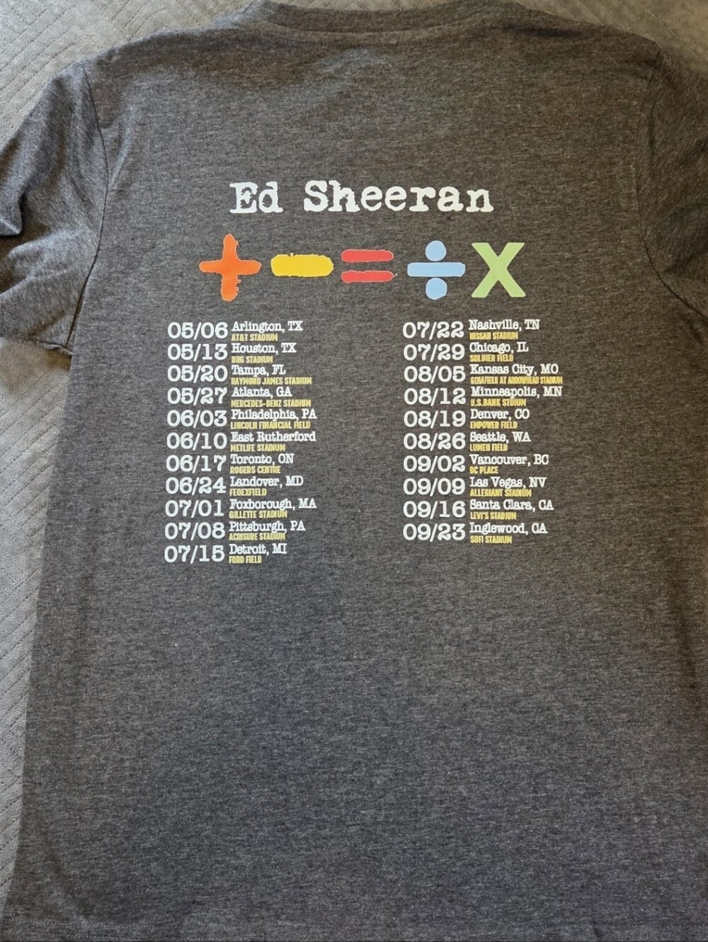 Womens Gray Tour Tee - Official Tour Merch - Picture 3 of 8